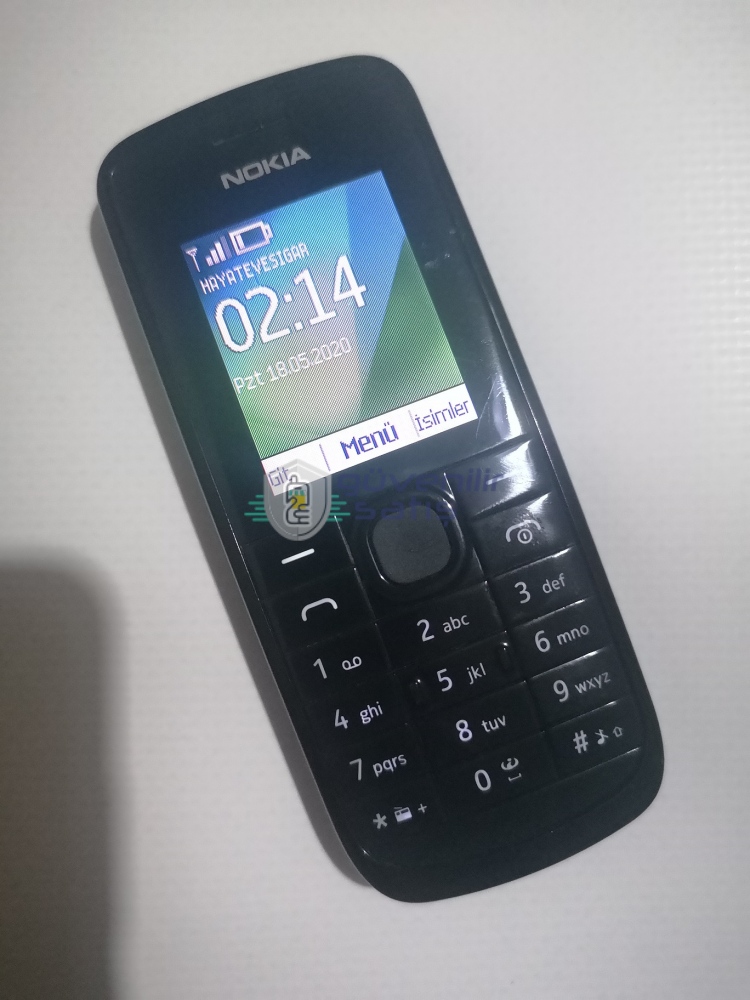 Nokia 113